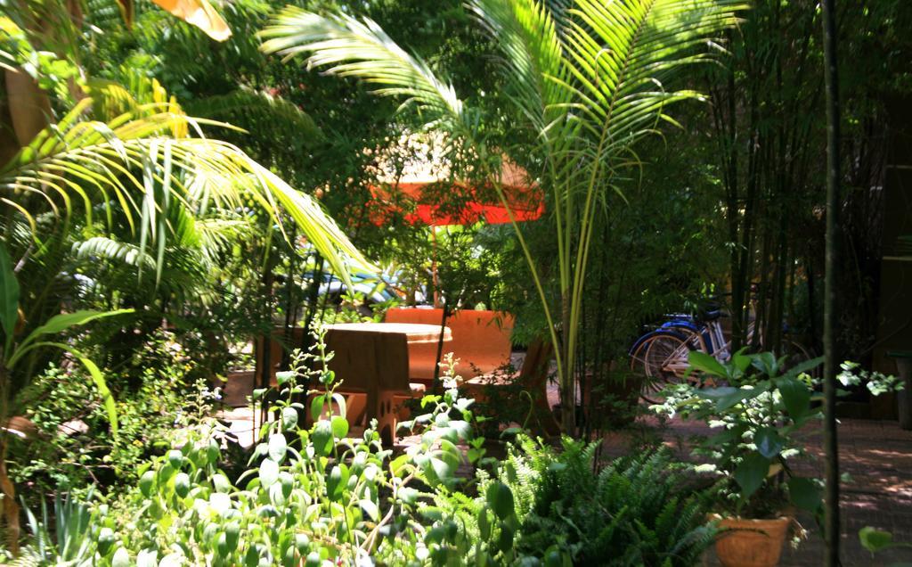 Firefly Guesthouse - The Berlin Angkor Siem Reap Luaran gambar
