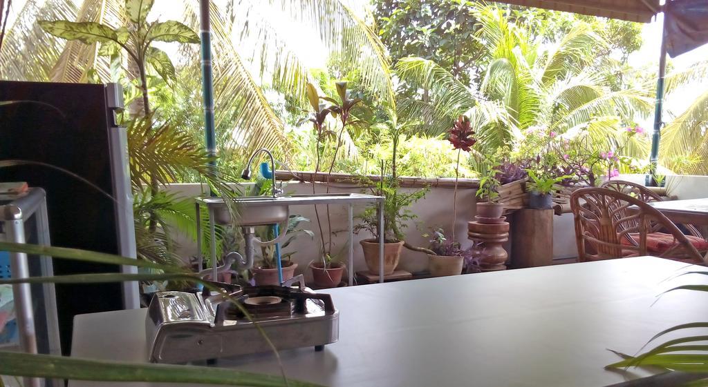 Firefly Guesthouse - The Berlin Angkor Siem Reap Luaran gambar