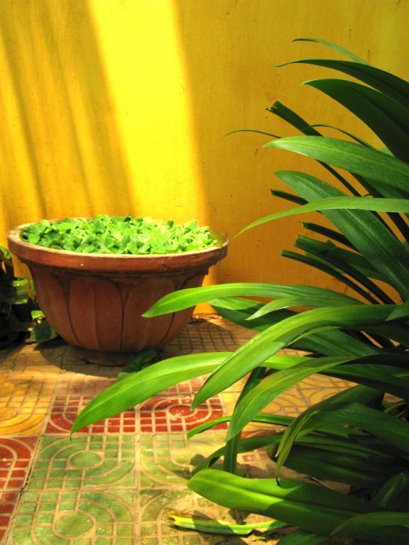 Firefly Guesthouse - The Berlin Angkor Siem Reap Luaran gambar